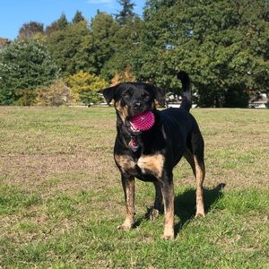 Meet your Posher, Brooke